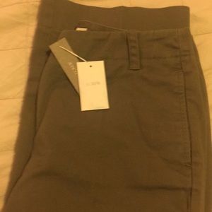 NWT JCrew petite broken in chinos sz 8 petite